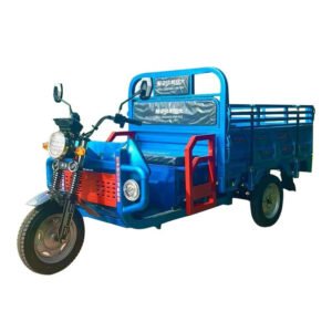 Balong cargo tricycle