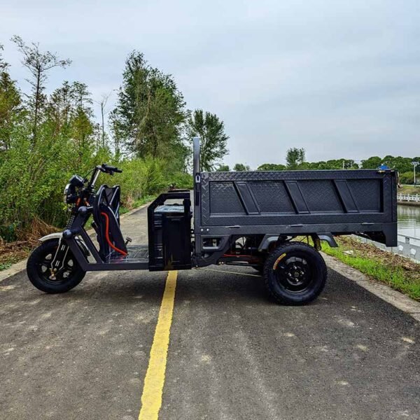 Tank-carrying electric tricycle - Image 3